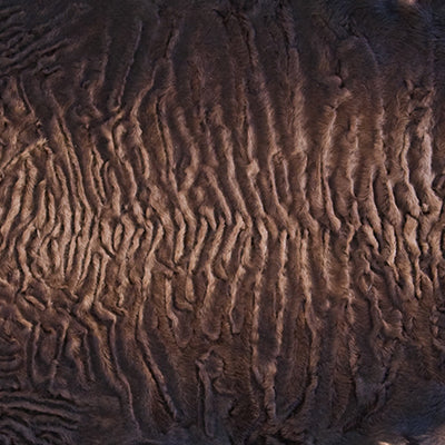 The Classic 30cm x 30cm accent pillow