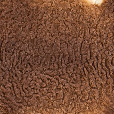 The Nomad – 30 x 55 cm
